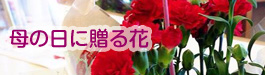 sfloralart（エスフローラルアート）母の日に贈る花｜山形・米沢のお花屋さんアレンジメントならお任せsfloralart（エスフローラルアート）